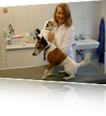 Tierarzt Mayfeld Dortmund